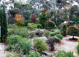 Show off your garden