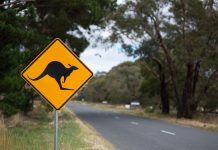 Inquiry hears of burn out