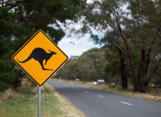 Inquiry hears of burn out