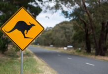 Inquiry hears of burn out