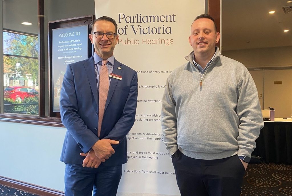 Councils hamstrung, wildlife inquiry reveals