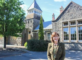 New ideas wanted for old school site