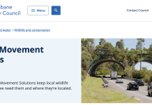 Wildlife road-strikes: A growing crisis in Victoria