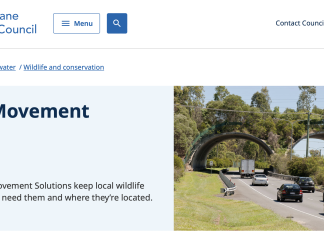 Wildlife road-strikes: A growing crisis in Victoria