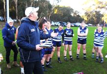 Cats v Riddell in grand final