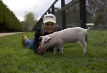 Small acts of kindness create big change