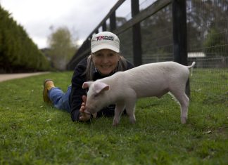 Small acts of kindness create big change