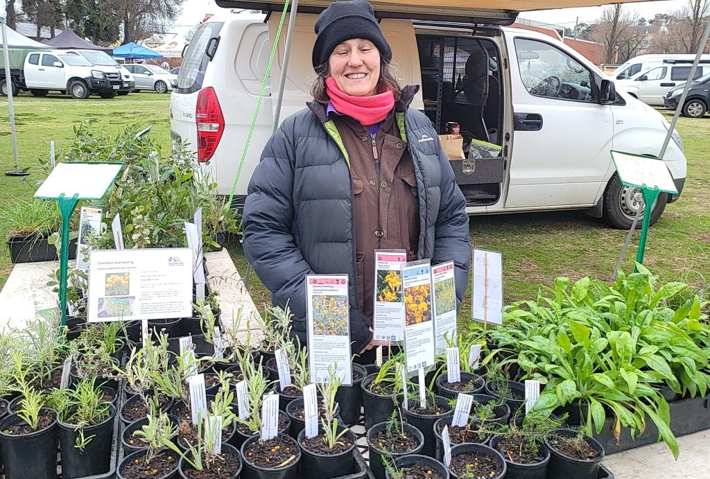 Shop from the producer