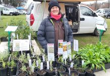 Shop from the producer