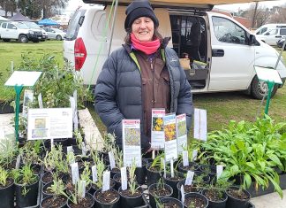 Shop from the producer