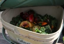 Bokashi – brilliant, or bit of a bother?