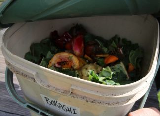 Bokashi – brilliant, or bit of a bother?