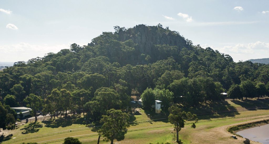 Ngannelong speculation