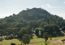 Ngannelong speculation