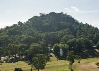 Ngannelong speculation