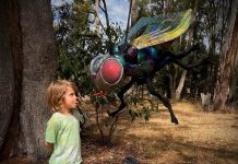 Insect Expo brings giant blowflies