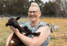 Fostering connections