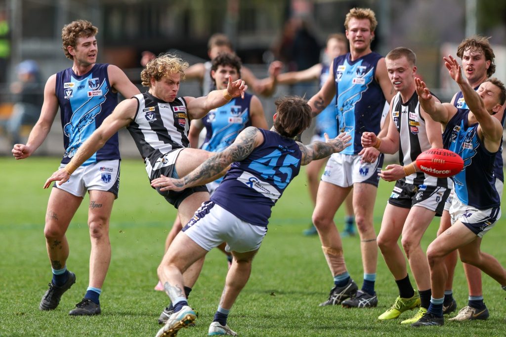 Magpies soar over Hawks