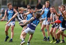 Magpies soar over Hawks