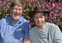 Celebrating 50 years of wildlife rescue