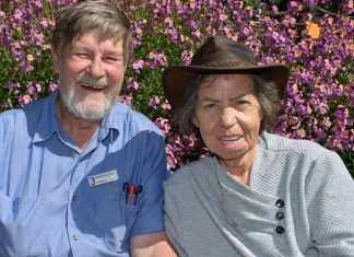 Celebrating 50 years of wildlife rescue