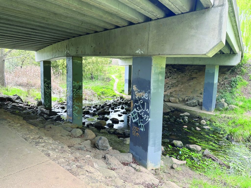 Antisemitism confronts Gisborne