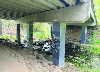 Antisemitism confronts Gisborne