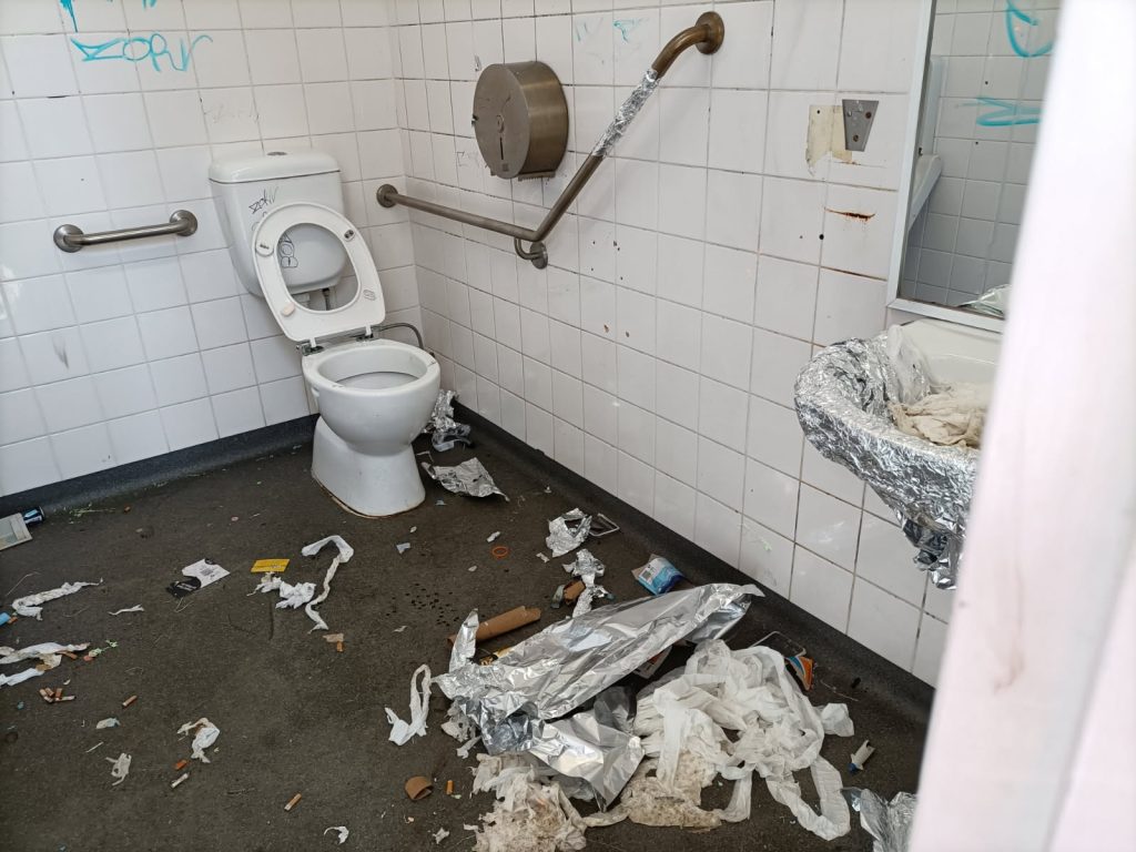 Public toilet thefts costly