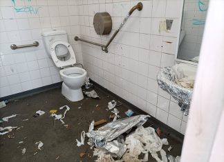 Public toilet thefts costly