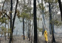 Fire quickly escalates