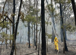 Fire quickly escalates