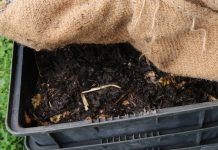 Tuck your worms in with a blanket