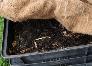 Tuck your worms in with a blanket