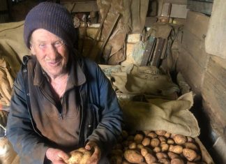 Lancefield Show has lots to offer