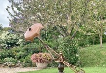 Enjoy the beauty of garden and art