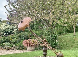 Enjoy the beauty of garden and art