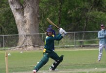 Spirited contests in CDCA