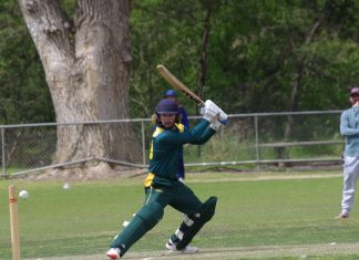 Spirited contests in CDCA