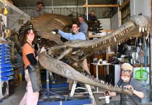 Recreating a lost giant