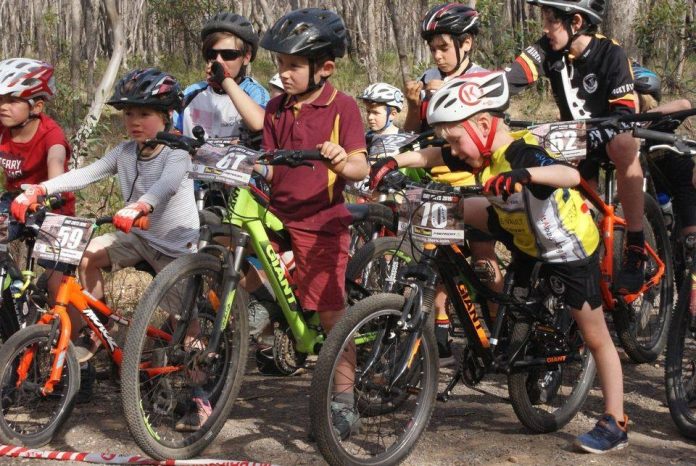 cMountainBikes2110225-1