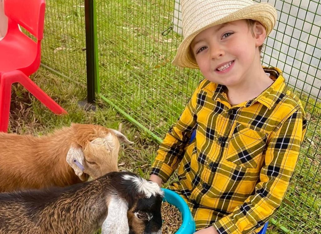 Get your show entries in!