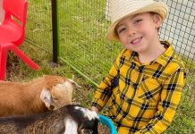 Get your show entries in!