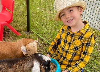 Get your show entries in!