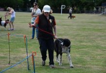Dog club celebrates 40 years… or 280 in dog years