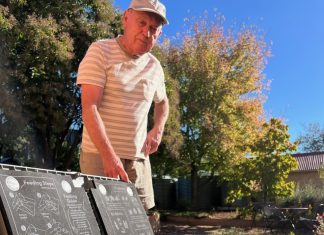 A more grounded kind of worm farm