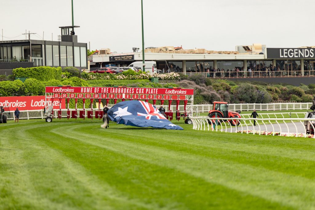 Stunt horses star at Cox Plate
