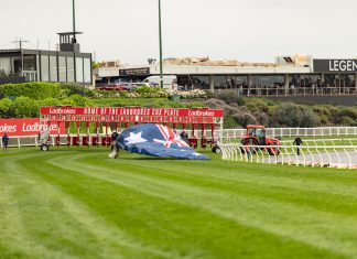 Stunt horses star at Cox Plate
