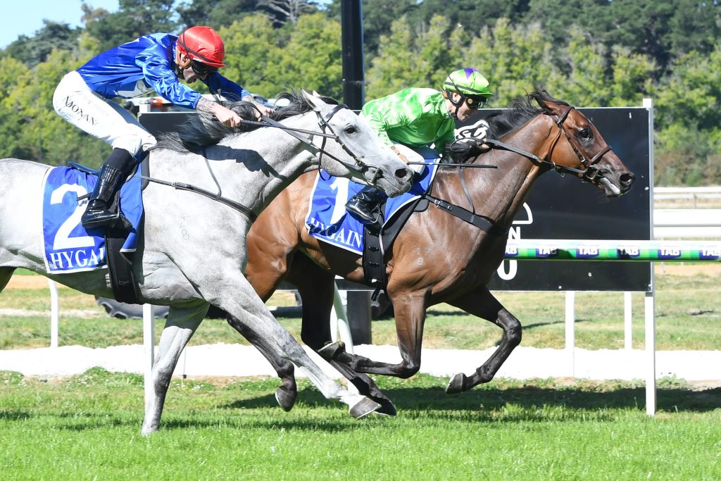 Station One in Kyneton Cup