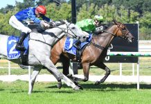 Station One in Kyneton Cup
