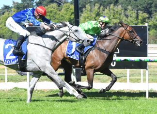 Station One in Kyneton Cup